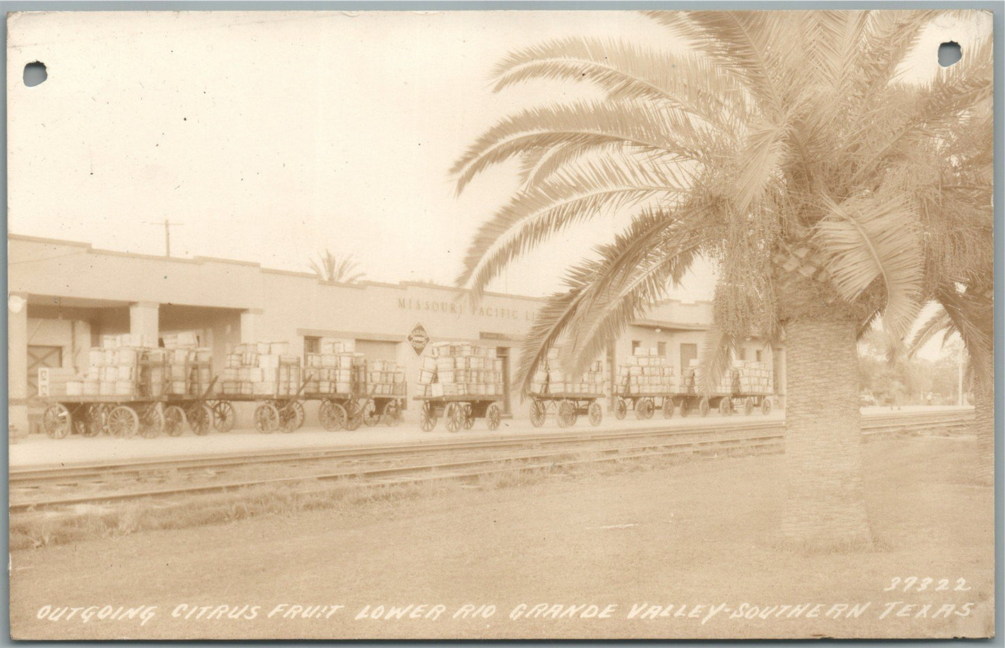 LOWER RIO GRANDE VALLEY TX OUTGOING FRUITS ANTIQUE REAL PHOTO POSTCARD RPPC