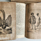 1838 TRAVELS to OCEANIA MALAYSIA POLYNESIA 3 VOLUMES antique ILLUSTRATED German