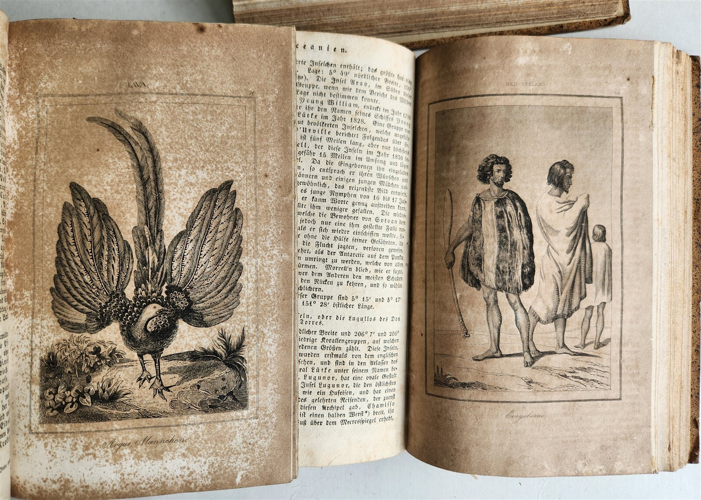1838 TRAVELS to OCEANIA MALAYSIA POLYNESIA 3 VOLUMES antique ILLUSTRATED German