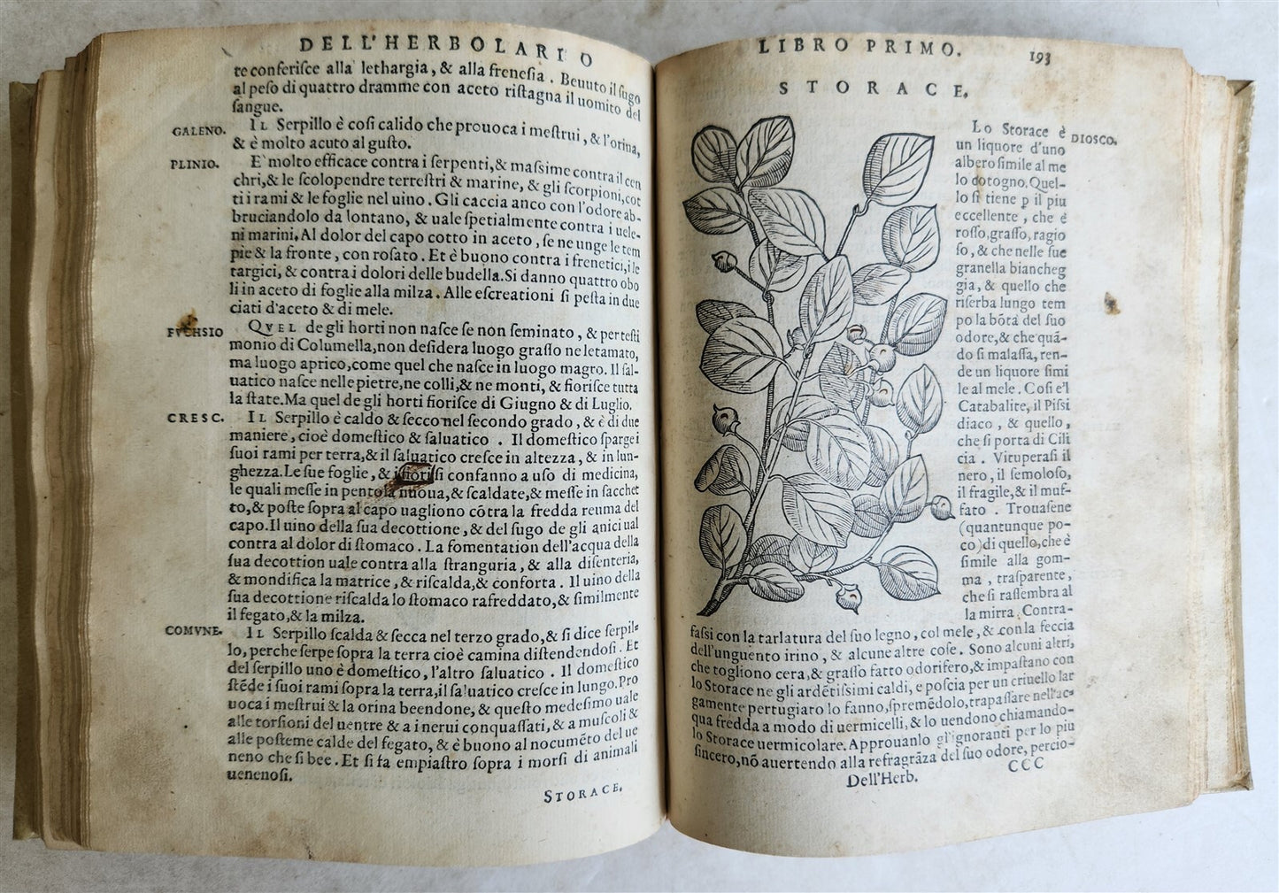 1561 PHARMACOPEIA ILLUSTRATED MEDICAL PLANTS by SANSOVINO antique 16th CENTURY