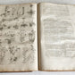 1756 BRITISH HERBAL J.HILL antique ILLUSTRATED FOLIO HISTORY OF PLANTS & TREES