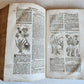 1744 THEATRUM BOTANICUM ILLUSTRATED GERMAN HERBAL antique PIGSKIN BOUND FOLIO