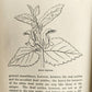 1878 COUNTRY WALKS of a NATURALIST with HIS CHILDREN antique ILLUSTRATED