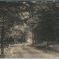 POCONO LAKE PRESERVE PA SOUTH SHORE ROAD ANTIQUE POSTCARD