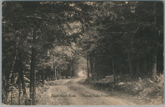 POCONO LAKE PRESERVE PA SOUTH SHORE ROAD ANTIQUE POSTCARD