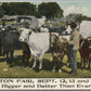 CLINTON FAIR OH 1911 ANTIQUE POSTCARD