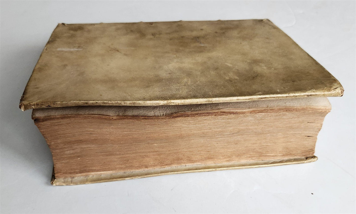 1575 SPECULUM ASTROLOGIAE by Francesco Giuntini ASTRONOMY ASTROLOGY antique