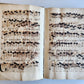 1725 MUSICAL MANUSCRIPT antique AMAZING PIGSKIN BOUND IMPERIAL FOLIO