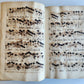 1725 MUSICAL MANUSCRIPT antique AMAZING PIGSKIN BOUND IMPERIAL FOLIO