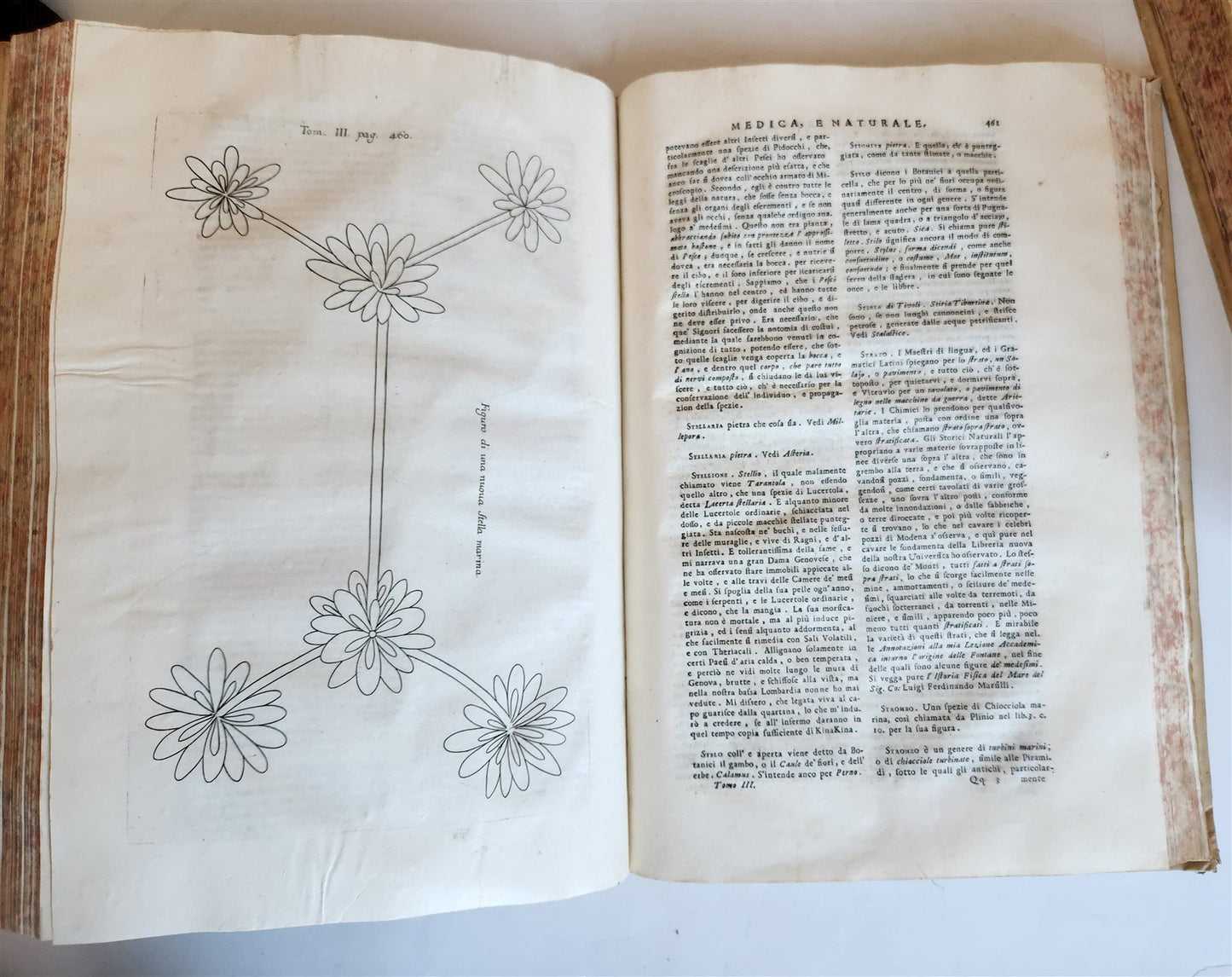 1733 MEDICAL TREATISE by ANTONIO VALLISNERI antique ILLUSTRATED 3 folio volumes