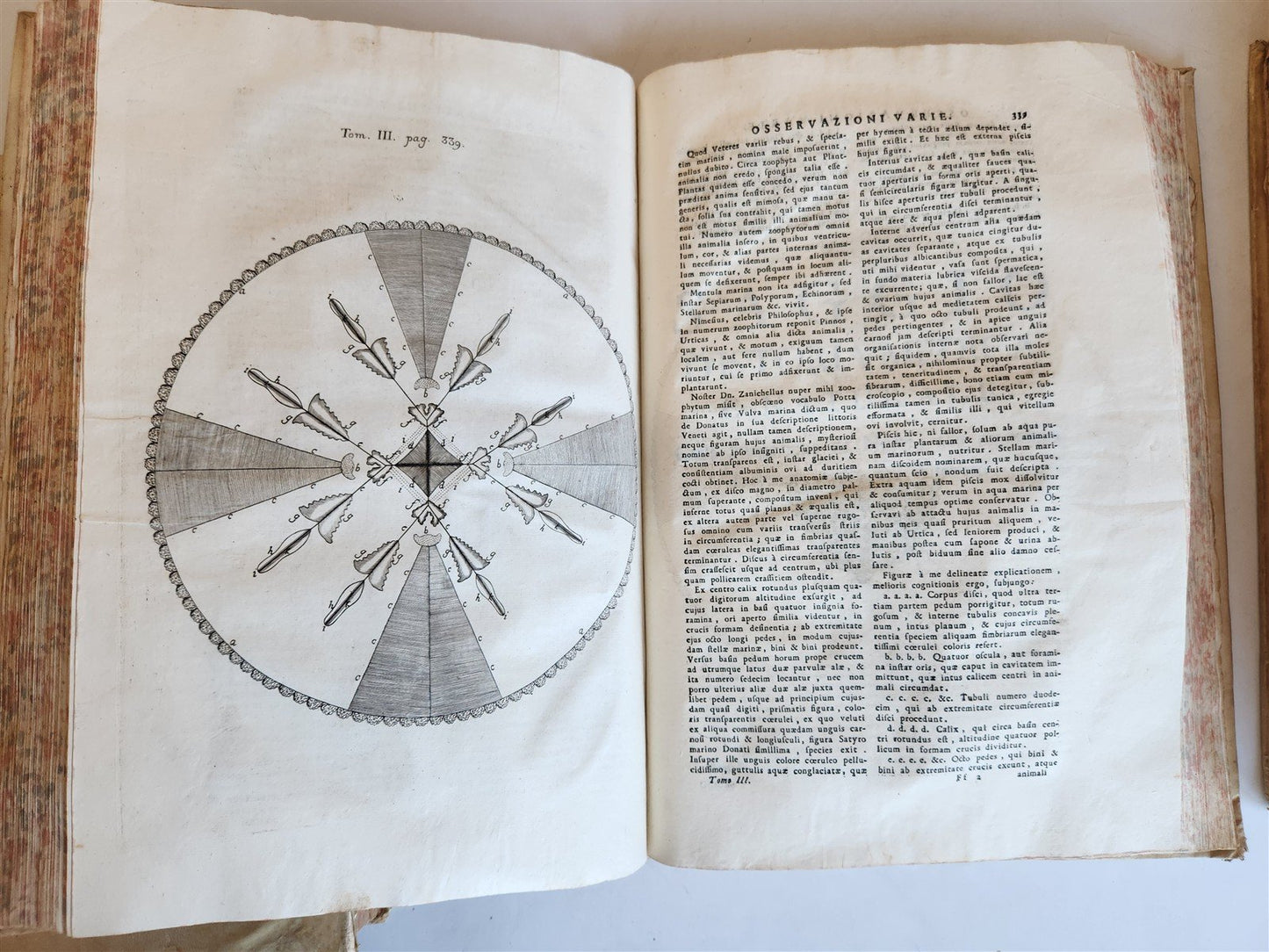 1733 MEDICAL TREATISE by ANTONIO VALLISNERI antique ILLUSTRATED 3 folio volumes