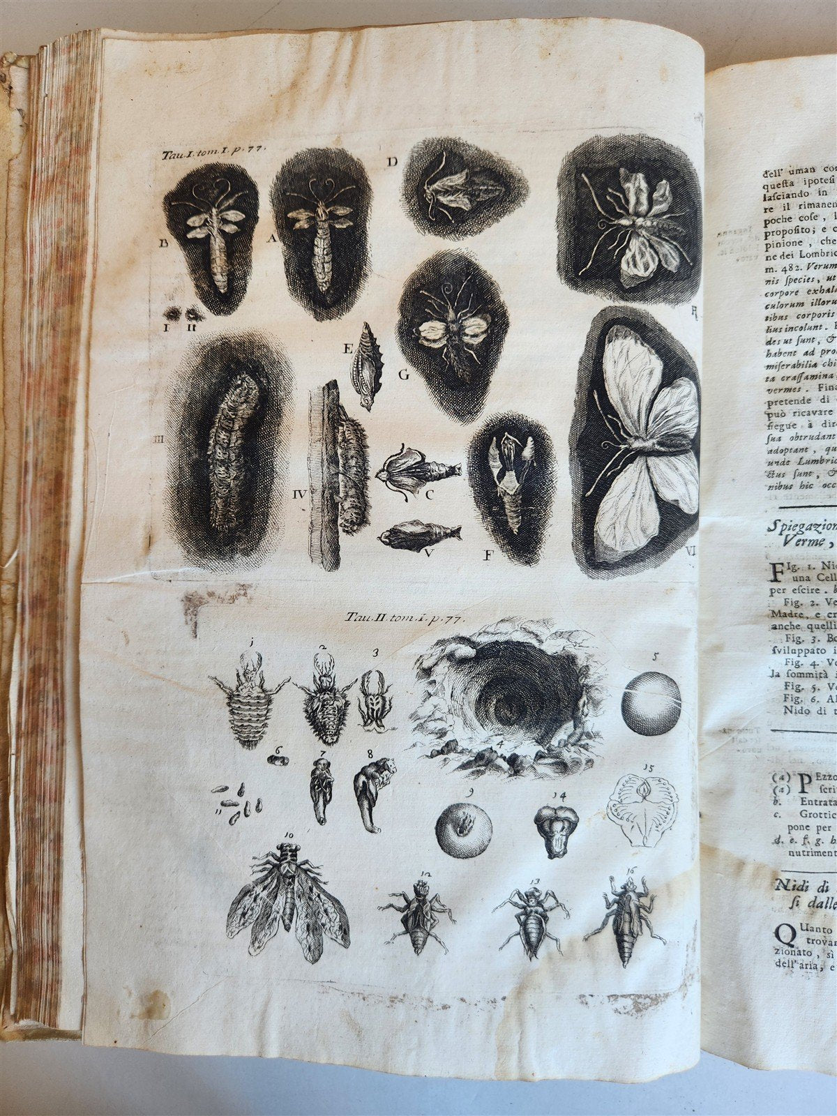 1733 MEDICAL TREATISE by ANTONIO VALLISNERI antique ILLUSTRATED 3 folio volumes