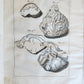 1733 MEDICAL TREATISE by ANTONIO VALLISNERI antique ILLUSTRATED 3 folio volumes