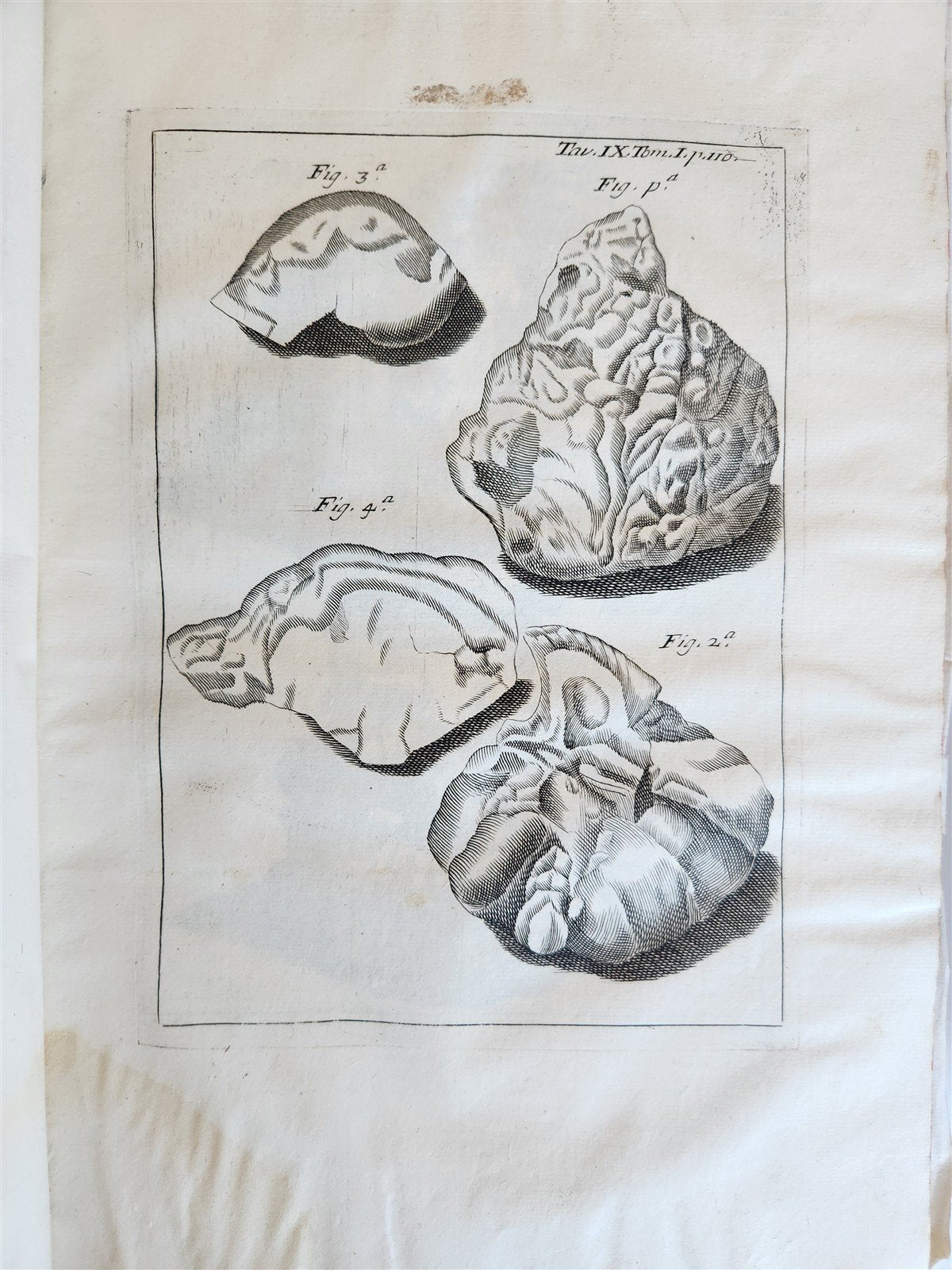 1733 MEDICAL TREATISE by ANTONIO VALLISNERI antique ILLUSTRATED 3 folio volumes