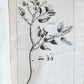 1733 MEDICAL TREATISE by ANTONIO VALLISNERI antique ILLUSTRATED 3 folio volumes