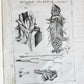 1733 MEDICAL TREATISE by ANTONIO VALLISNERI antique ILLUSTRATED 3 folio volumes