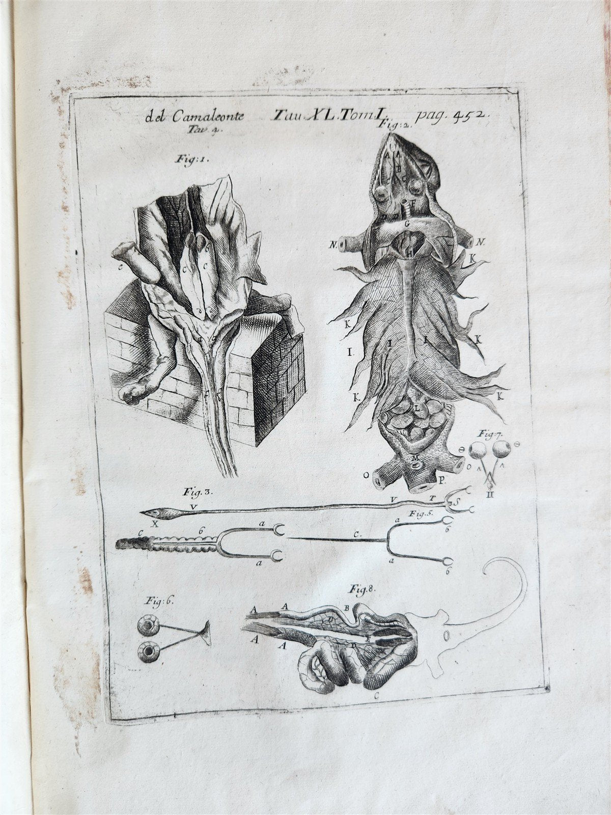 1733 MEDICAL TREATISE by ANTONIO VALLISNERI antique ILLUSTRATED 3 folio volumes