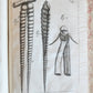 1733 MEDICAL TREATISE by ANTONIO VALLISNERI antique ILLUSTRATED 3 folio volumes