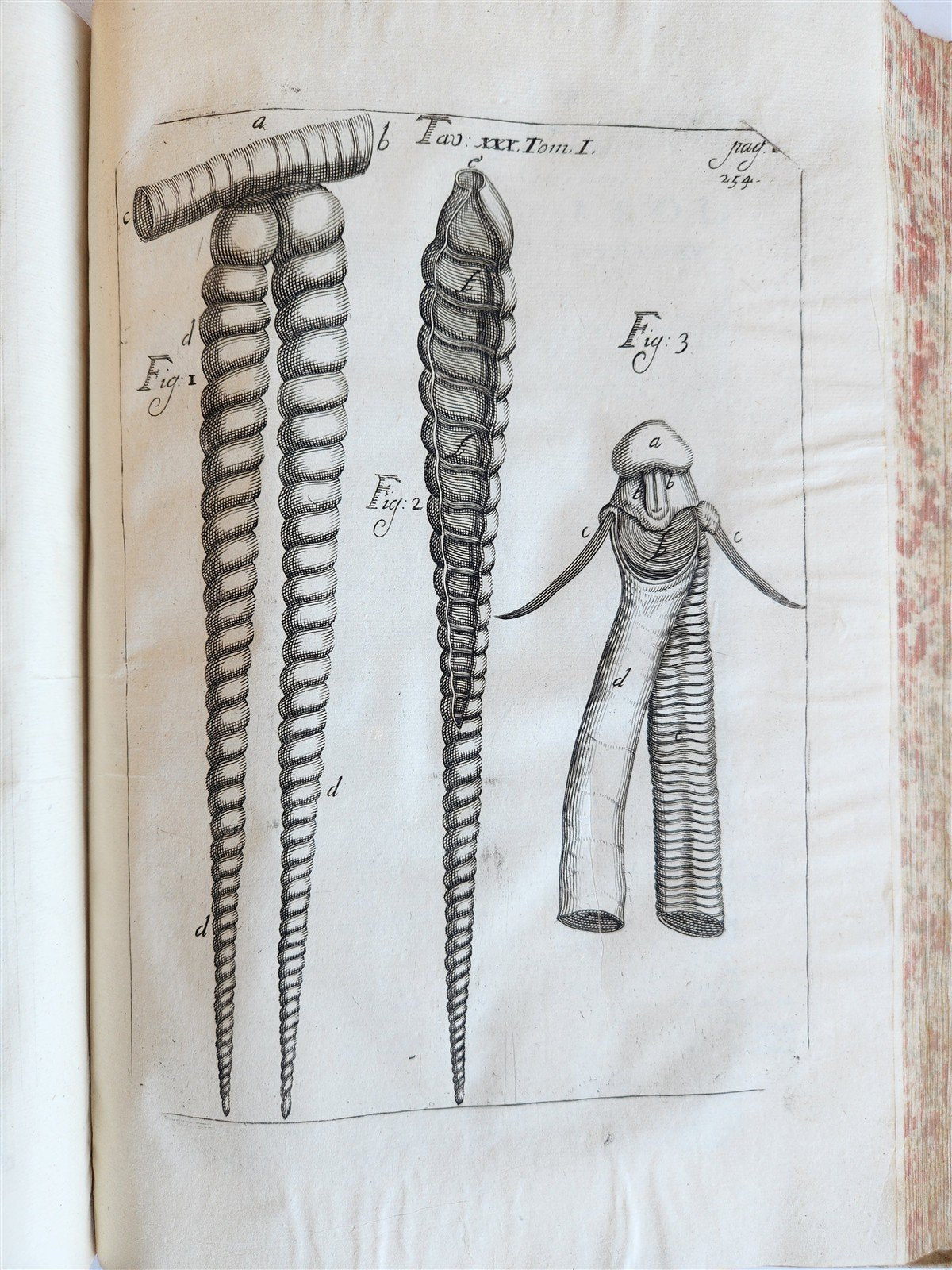 1733 MEDICAL TREATISE by ANTONIO VALLISNERI antique ILLUSTRATED 3 folio volumes