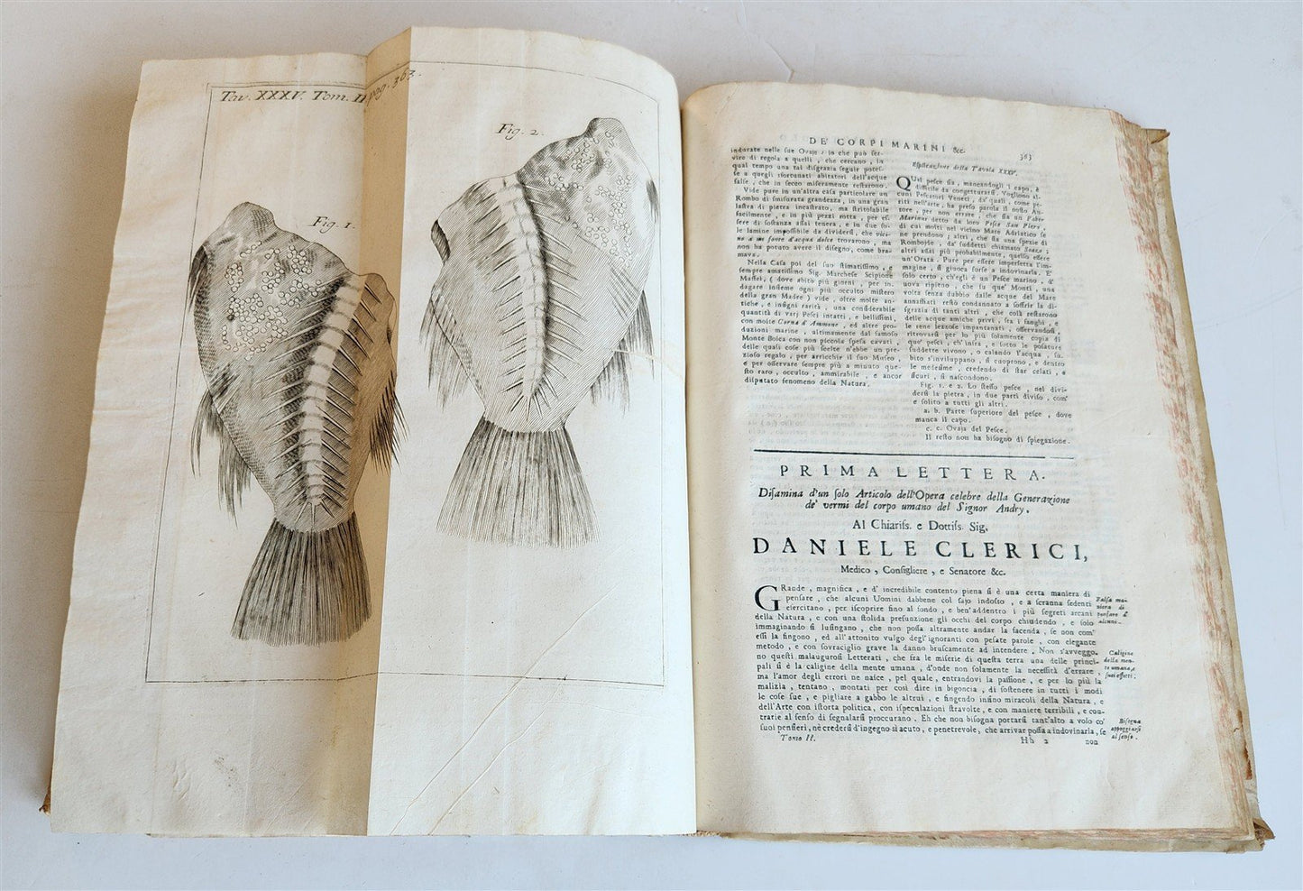 1733 MEDICAL TREATISE by ANTONIO VALLISNERI antique ILLUSTRATED 3 folio volumes