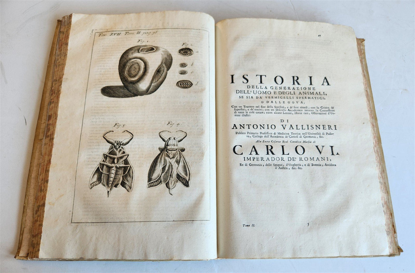 1733 MEDICAL TREATISE by ANTONIO VALLISNERI antique ILLUSTRATED 3 folio volumes
