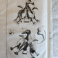 1733 MEDICAL TREATISE by ANTONIO VALLISNERI antique ILLUSTRATED 3 folio volumes