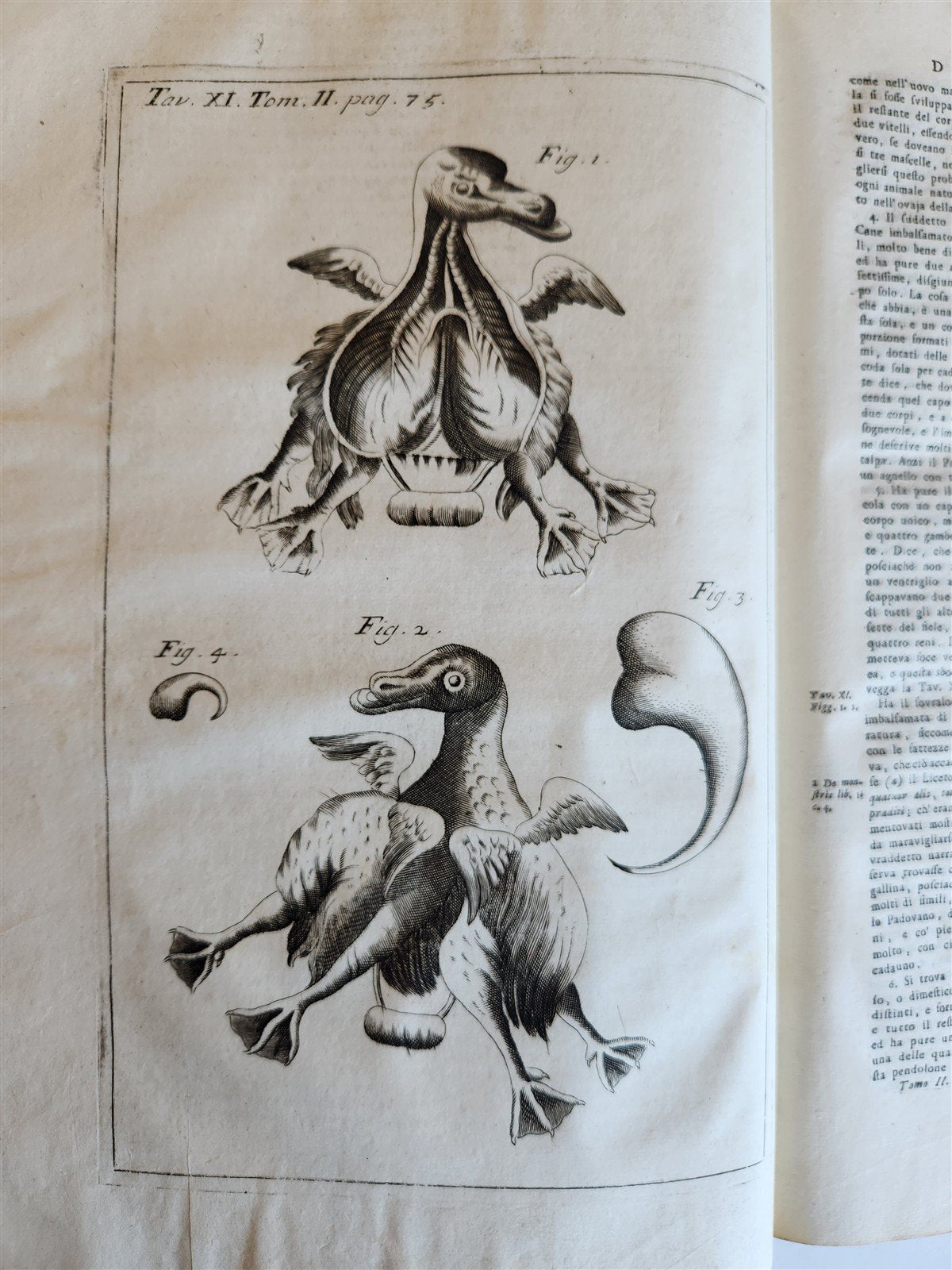 1733 MEDICAL TREATISE by ANTONIO VALLISNERI antique ILLUSTRATED 3 folio volumes