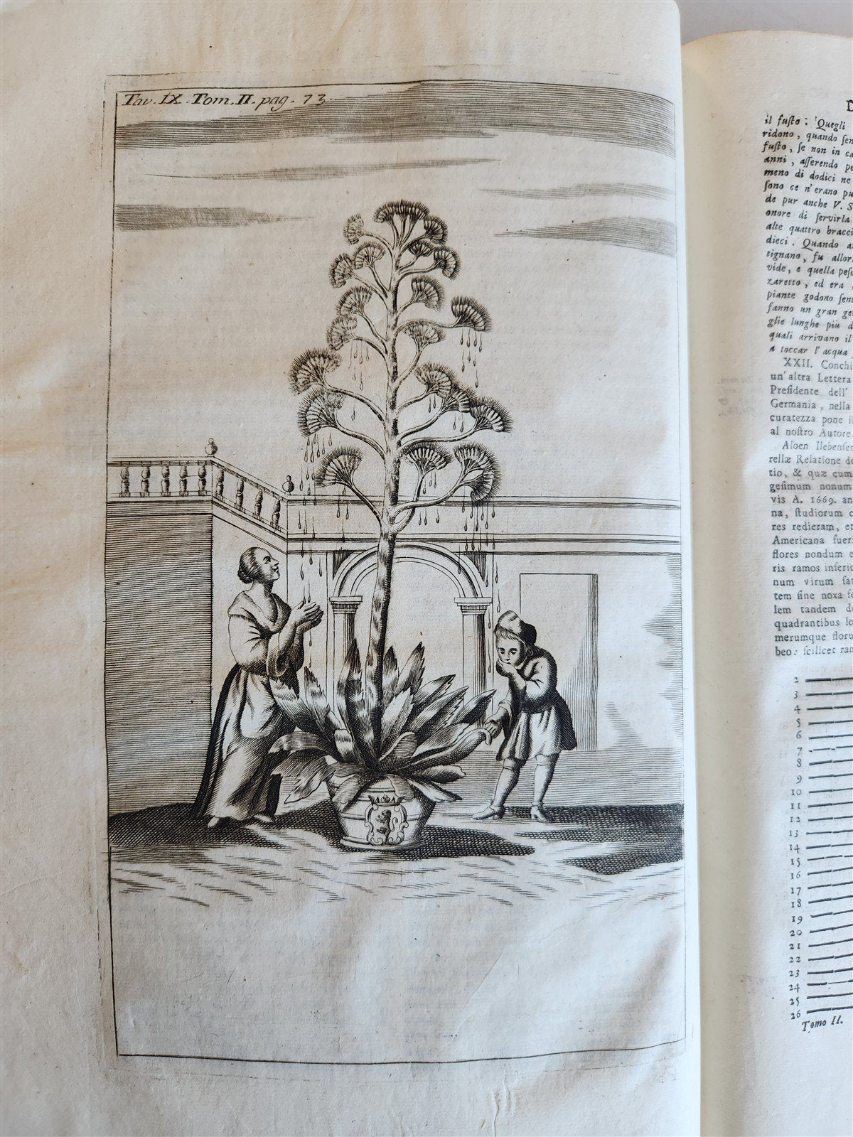 1733 MEDICAL TREATISE by ANTONIO VALLISNERI antique ILLUSTRATED 3 folio volumes