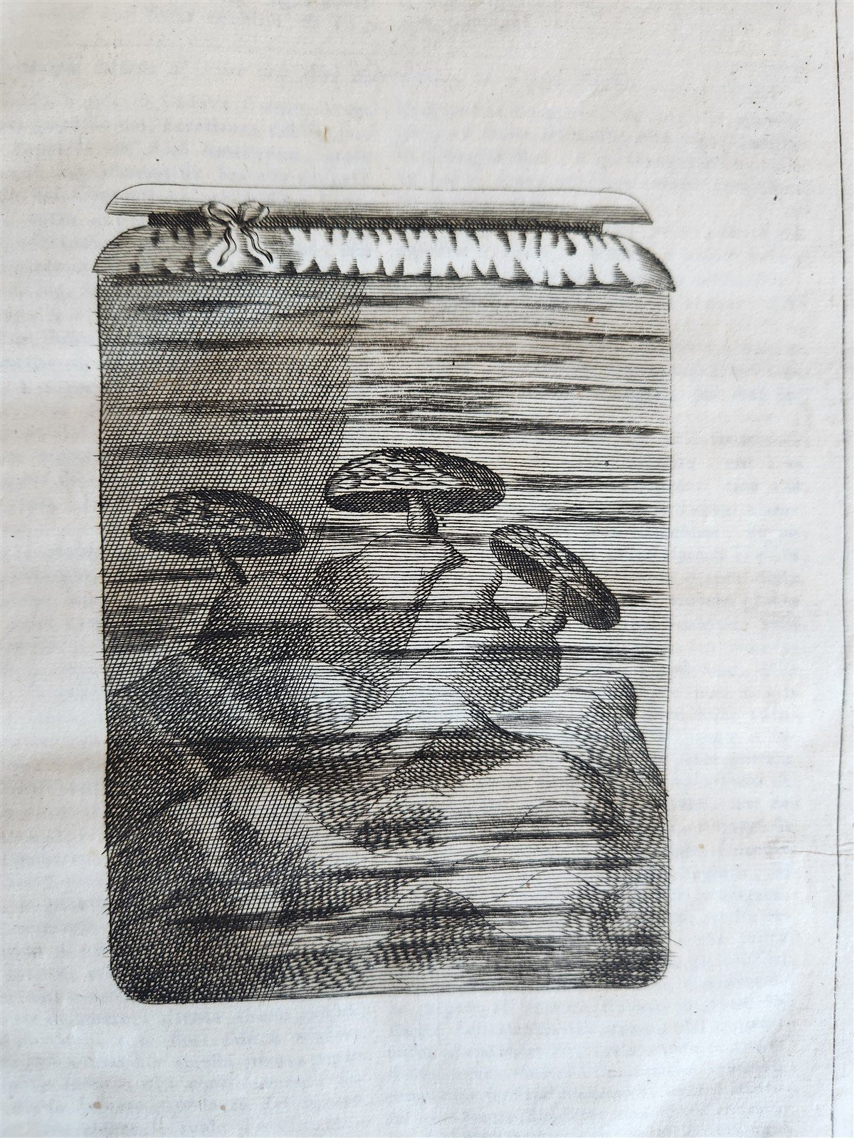 1733 MEDICAL TREATISE by ANTONIO VALLISNERI antique ILLUSTRATED 3 folio volumes