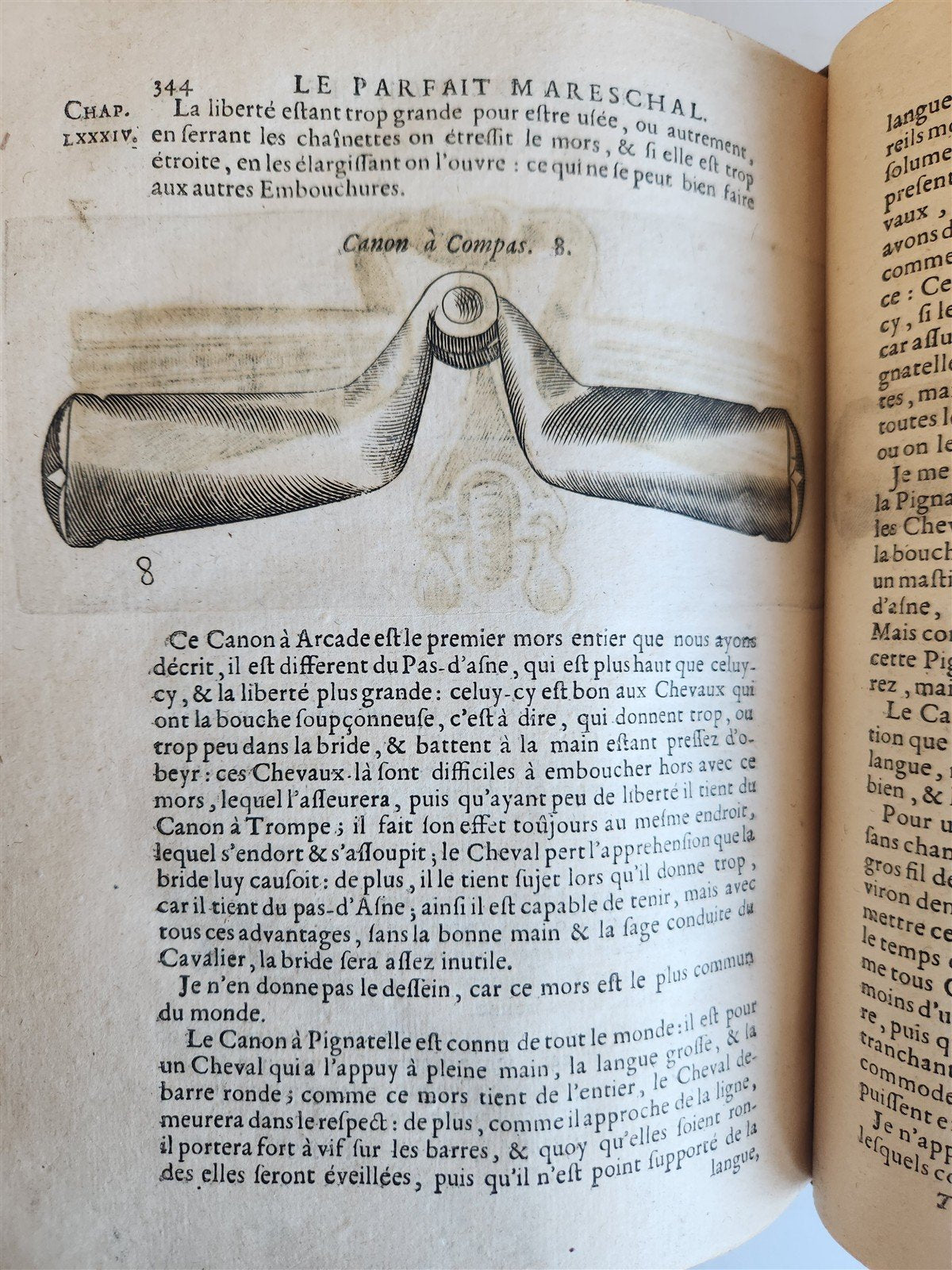 1680 COMPLEAT HORSEMAN antique ILLUSTRATED Le parfait mareschal by J. SOLLEYSEL