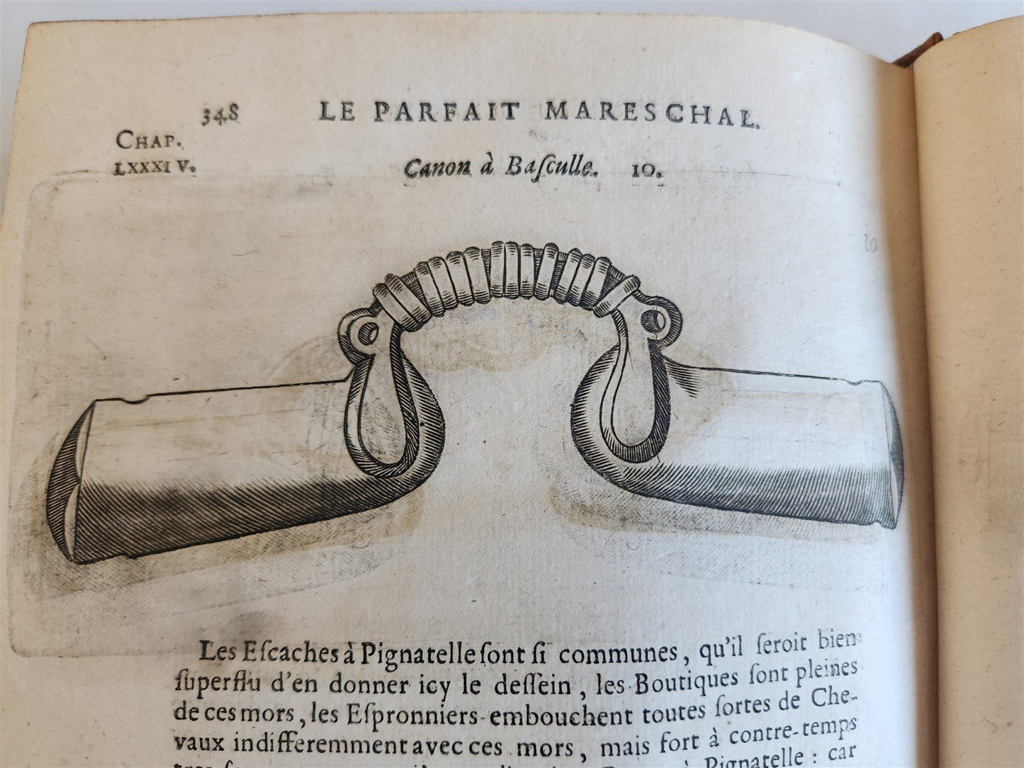 1680 COMPLEAT HORSEMAN antique ILLUSTRATED Le parfait mareschal by J. SOLLEYSEL