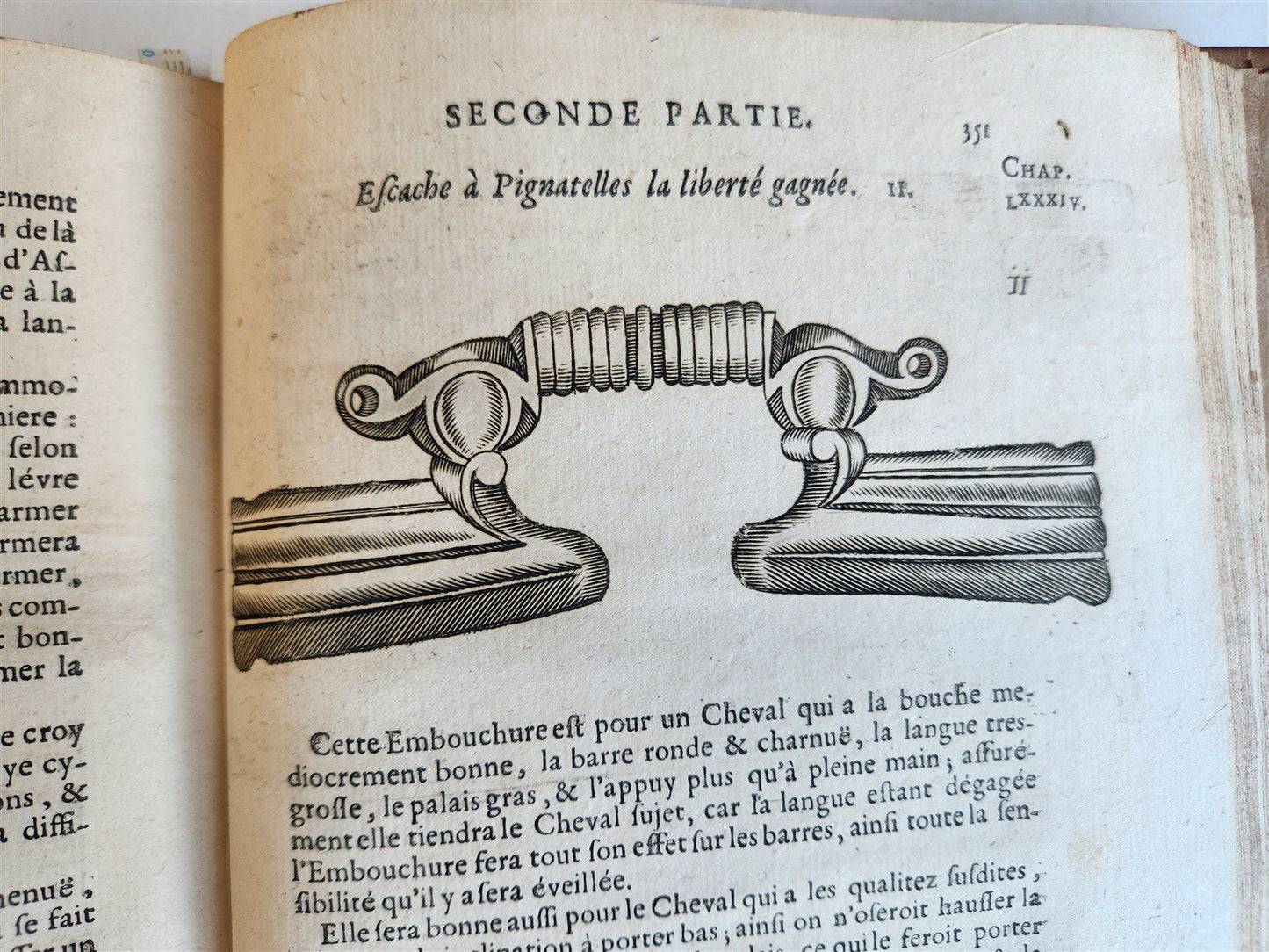 1680 COMPLEAT HORSEMAN antique ILLUSTRATED Le parfait mareschal by J. SOLLEYSEL
