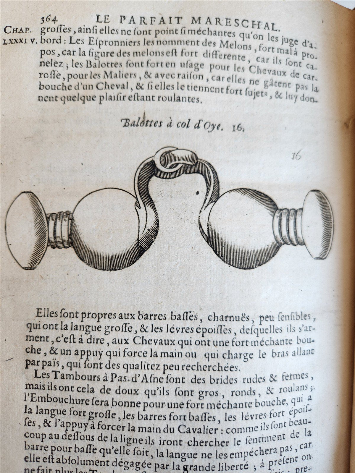 1680 COMPLEAT HORSEMAN antique ILLUSTRATED Le parfait mareschal by J. SOLLEYSEL