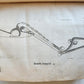 1680 COMPLEAT HORSEMAN antique ILLUSTRATED Le parfait mareschal by J. SOLLEYSEL