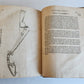1680 COMPLEAT HORSEMAN antique ILLUSTRATED Le parfait mareschal by J. SOLLEYSEL