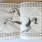 1680 COMPLEAT HORSEMAN antique ILLUSTRATED Le parfait mareschal by J. SOLLEYSEL