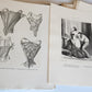 1933 THE CORSET in ART & CUSTOMS 13th-20th century ANTIQUE illustrated FOLIO