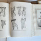 1933 THE CORSET in ART & CUSTOMS 13th-20th century ANTIQUE illustrated FOLIO