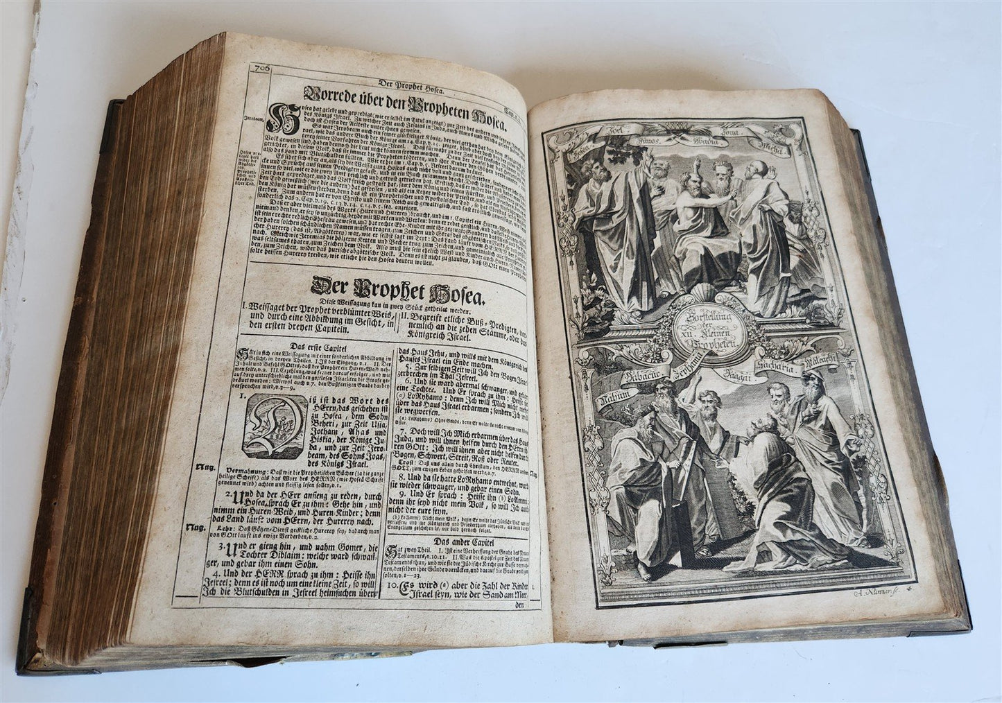 1755 BIBLE in GERMAN ANTIQUE illustrated PIGSKIN MASSIVE FOLIO w/ BRASS CORNERS