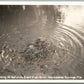 HOMOSASSA SPRINGS FL FISH FEEDING VINTAGE REAL PHOTO POSTCARD RPPC