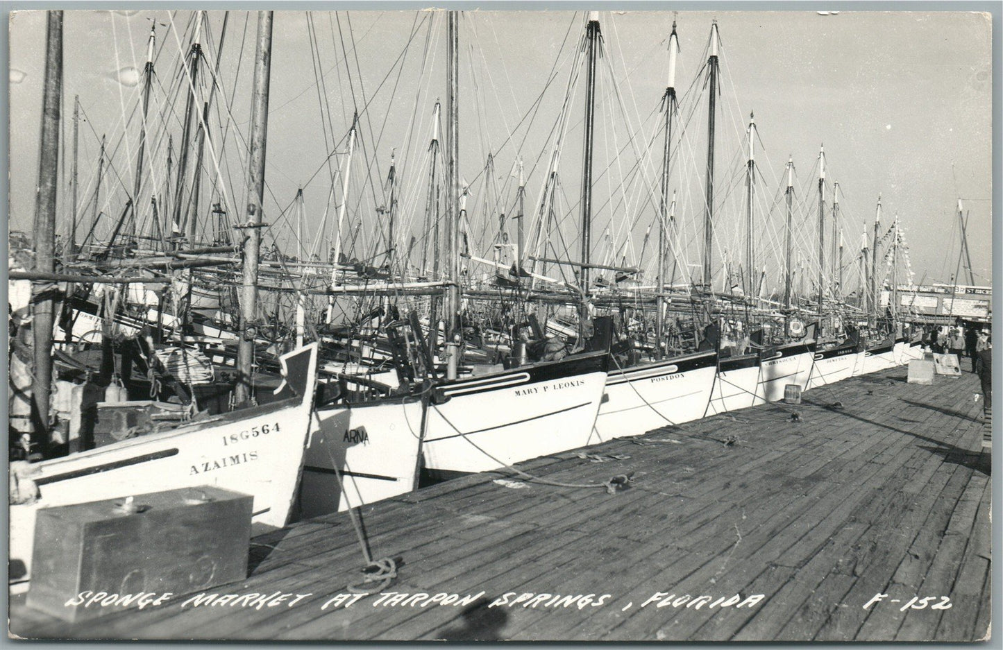 TARPON SPRINGS FL SPONGE MARKET VINTAGE REAL PHOTO POSTCARD RPPC