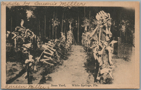 WHITE SPRINGS FL BONE YARD ANTIQUE POSTCARD
