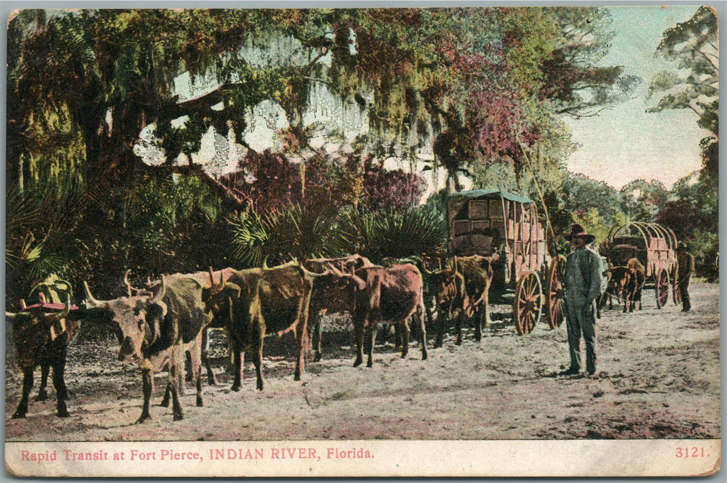 INDIAN RIVER FL RAPID TRANSIT AT FORT PIERCE ANTIQUE POSTCARD