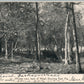 DOWLING PARK FL WINTER VIEW BACK OF HOTEL ANTIQUE POSTCARD