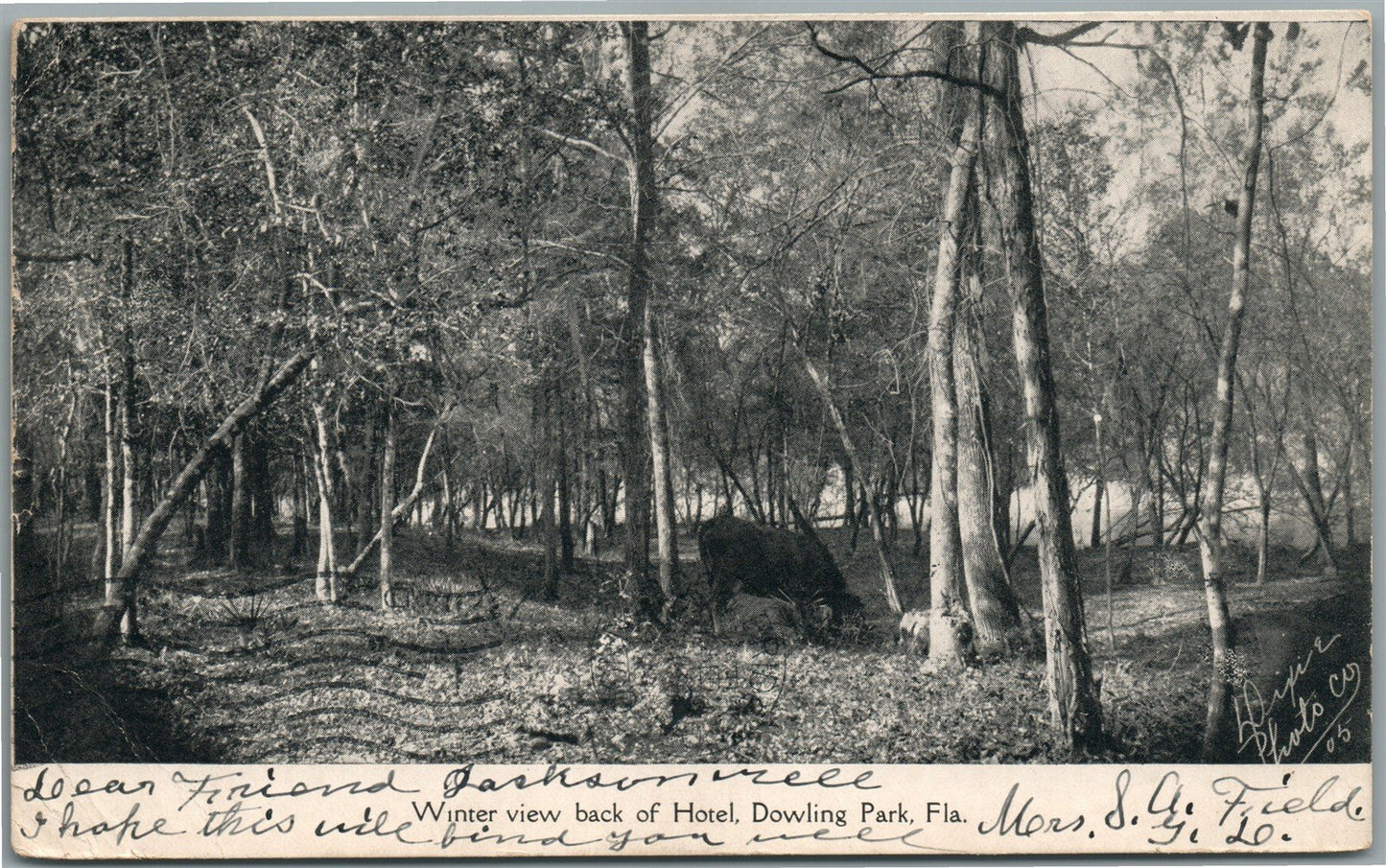 DOWLING PARK FL WINTER VIEW BACK OF HOTEL ANTIQUE POSTCARD