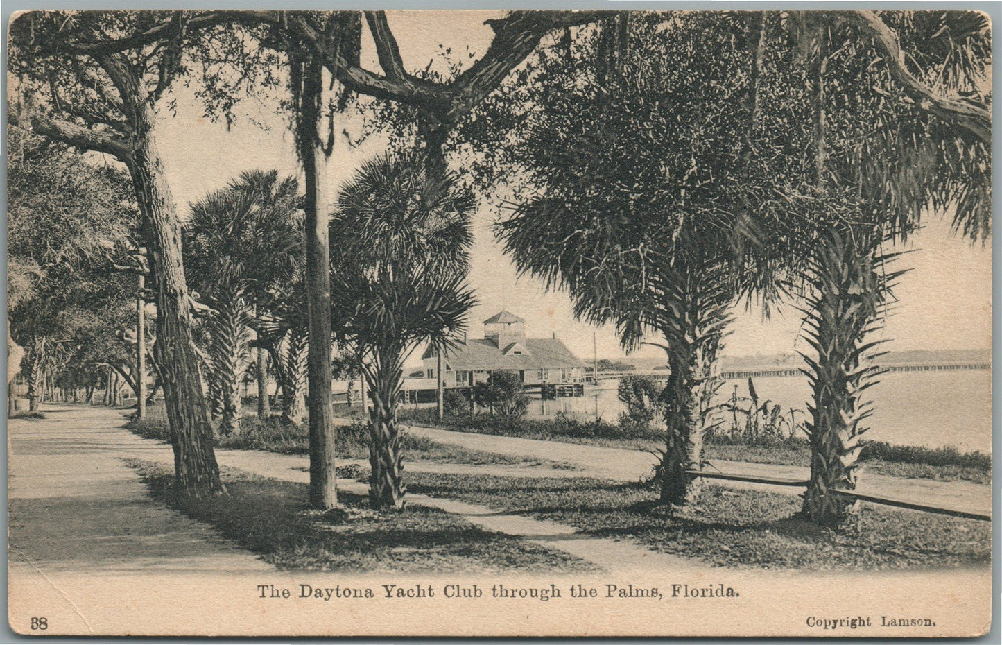 PALMS FL DAYTONA YACHT CLUB ANTIQUE POSTCARD
