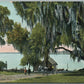 WELAKA FL ST.JOHNS RIVER ANTIQUE POSTCARD