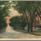 OSKALOOSA IA A AVE. ANTIQUE POSTCARD