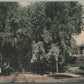MUSCATINE IA WEST THIRD STREET ANTIQUE POSTCARD
