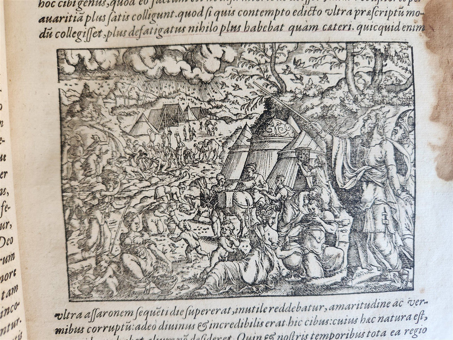 1580 FLAVIUS JOSEPHUS WORKS ILLUSTRATED by JOST AMMAN antique FOLIO Judaica